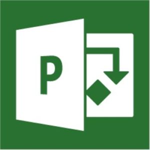 Microsoft PPM (Paid)